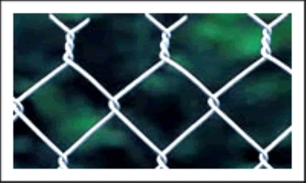 Chain Link Fence